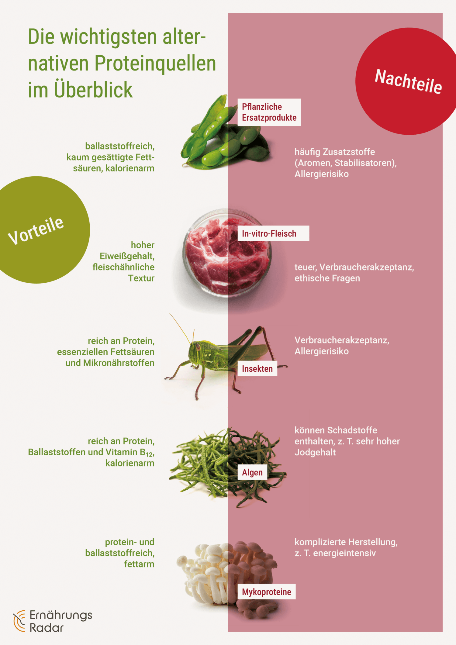 Vor- und Nachteile der alternativen Proteinquellen Pflanzen, In-vitro-Fleisch, Insekten, Algen und Mykoproteine