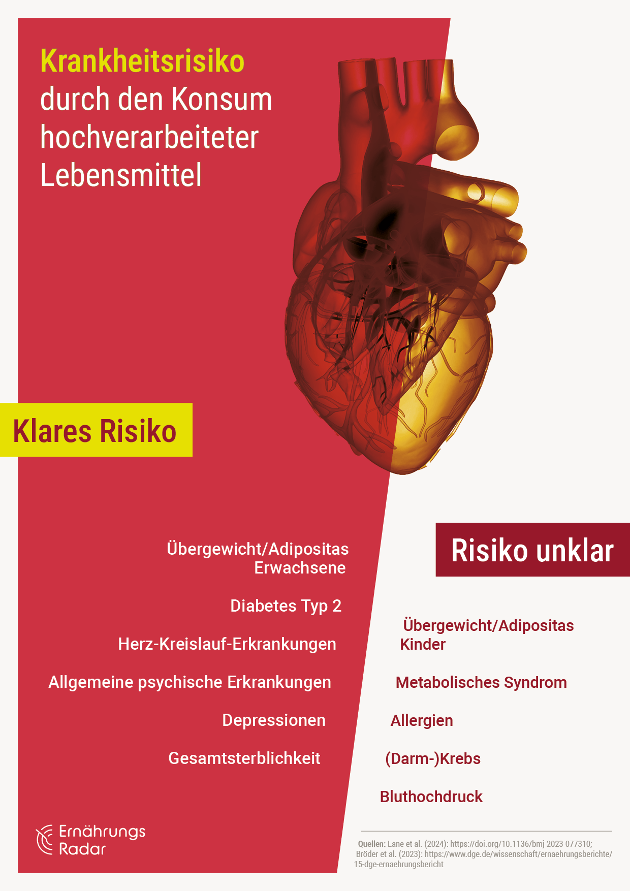 Überblick über das Krankheitsrisiko im Zusammenhang mit hochverarbeiteten Lebensmitteln.