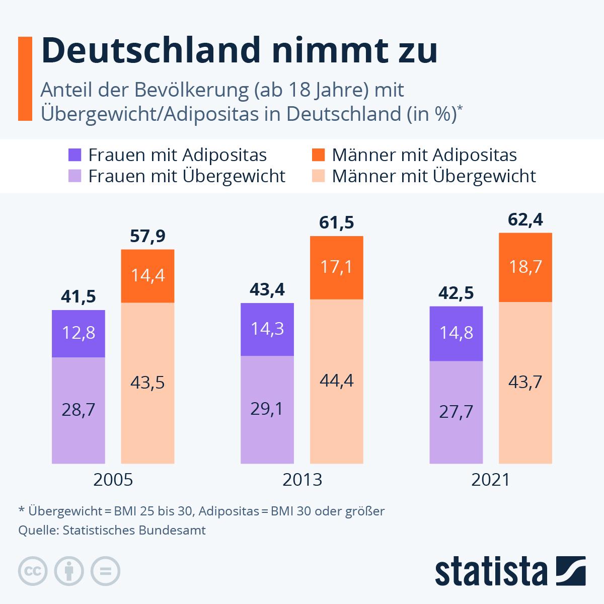 Adipositas Forschungsstand   Ernährungsradar