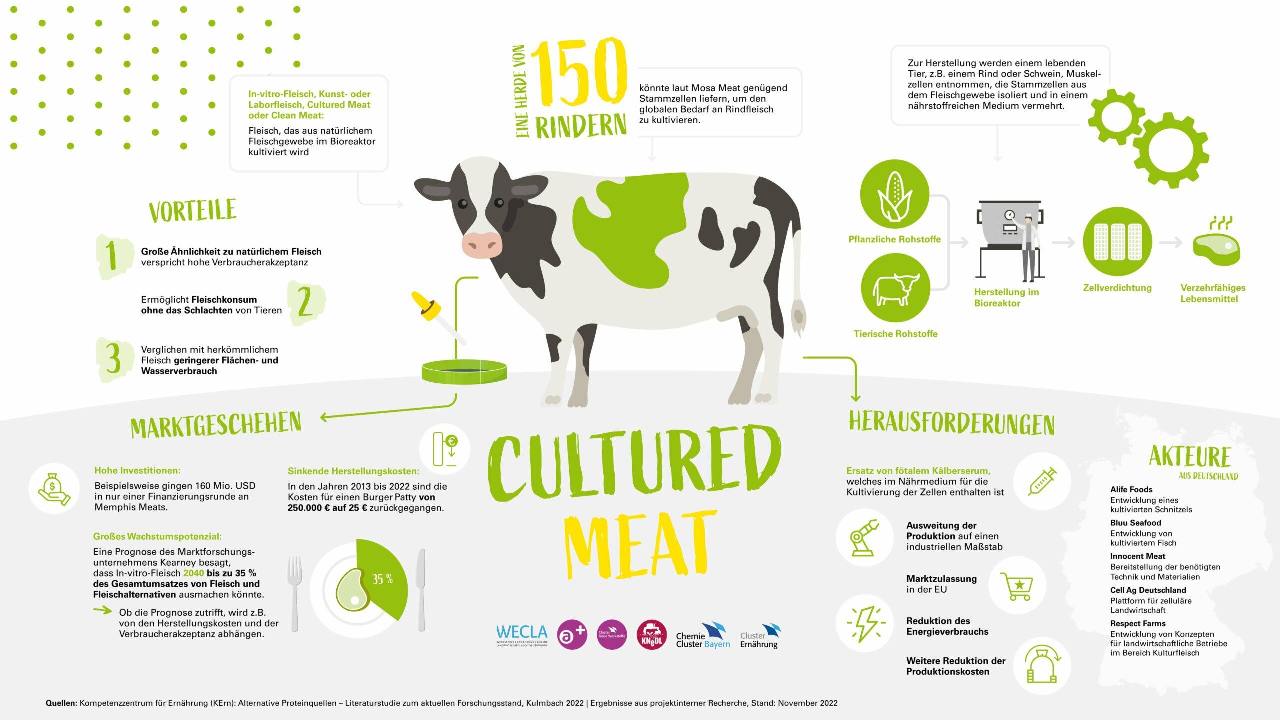 Die Grafik zeigt die Vor- und Nachteile sowie die Herausforderungen von In-vitro-Fleisch als Protein-Alternative zu herkömmlich erzeugtem Fleisch.